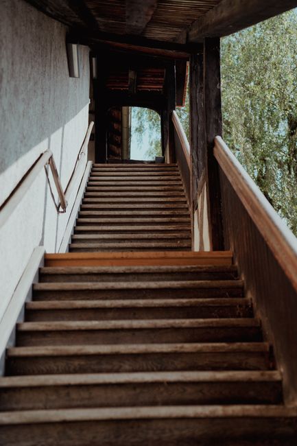 A straight wooden staircase with narrow, evenly spaced steps leading upwards within a building, flanked by wooden handrails on both sides. The stairs are made of aged, light-colored wood, and the area is partially illuminated by natural light coming from an opening at the top, revealing trees and greenery outside. The surrounding walls are painted white, and there is a wooden ceiling overhead. This staircase presents a challenge for home relocation or furniture transport due to its tight, steep design, which can be problematic during a move or when carrying bulky items, as managed by companies like Man and Van Harringay during packing and moving procedures.